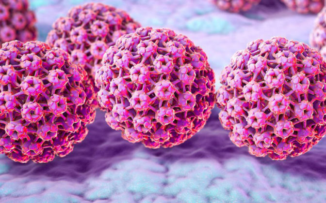 HPV-viruses-800x500-672x420