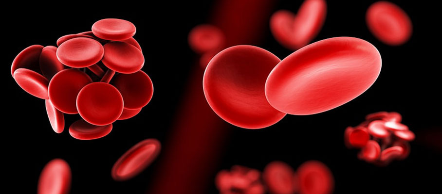 Thrombophilia