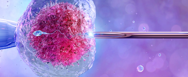 ivf1